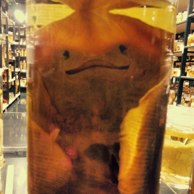 instagram.jpg