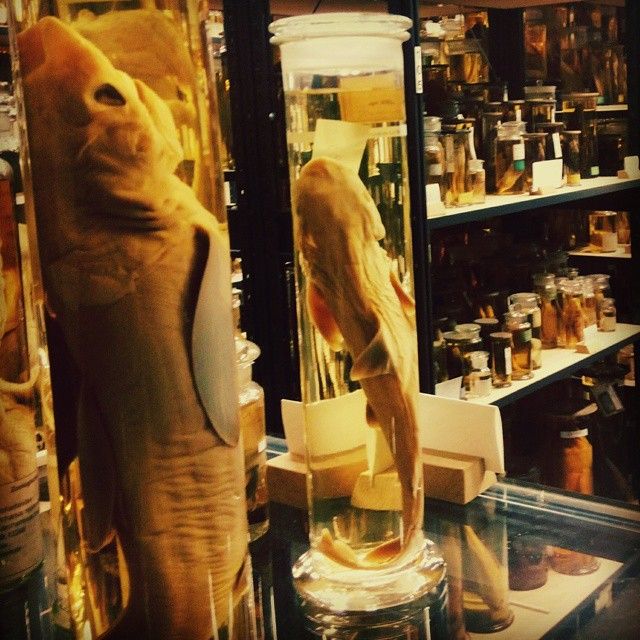 instagram.jpg