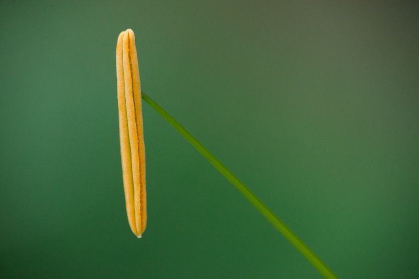 DSC_3147.jpg