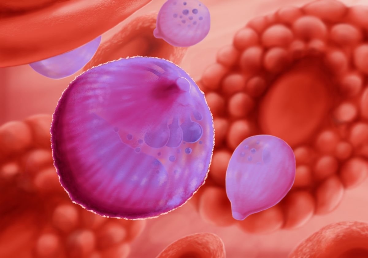 plasmodium.jpg