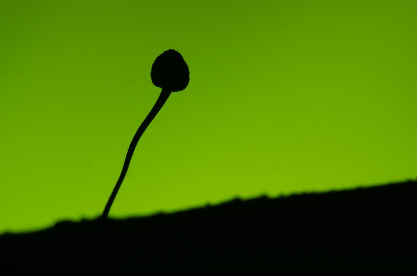 DSC_8069.jpg