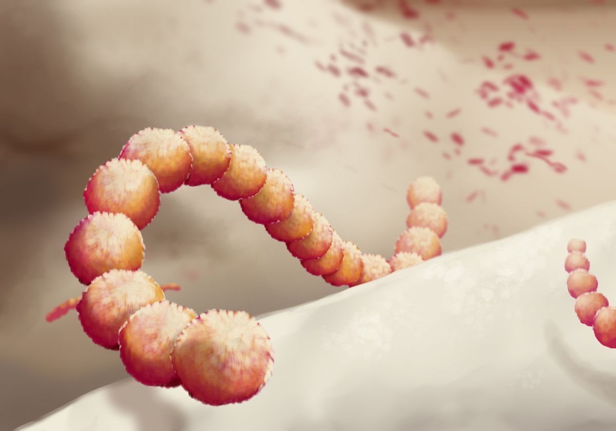 streptococcus mutans.jpg
