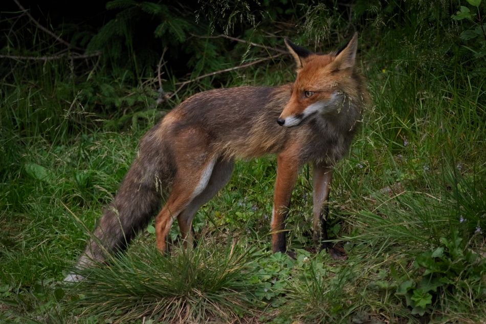 DSC_0344.jpg