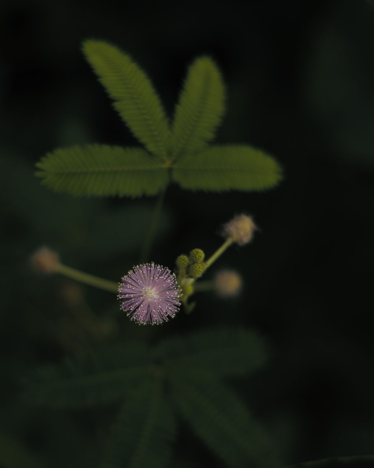 DSC_0270-Edit.jpg