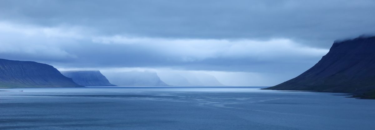 IMG_0198.jpg