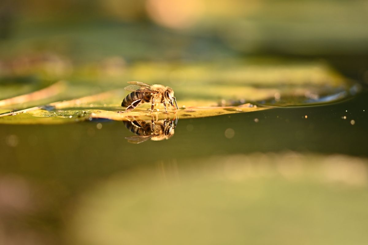 DSC_5844.JPG