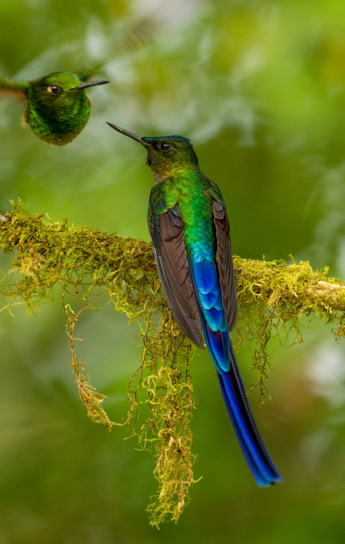 DSC_2063-3.jpg
