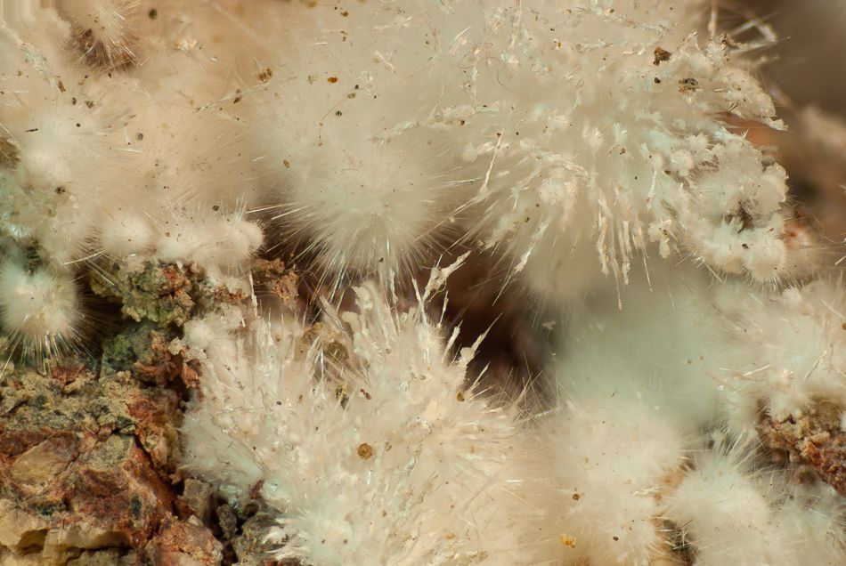 picropharmacolite.jpg