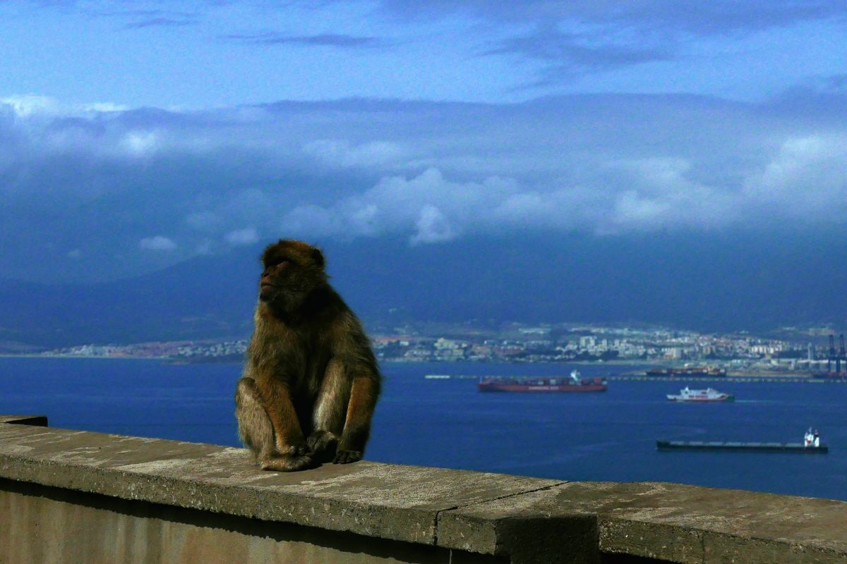 P2160301.JPG