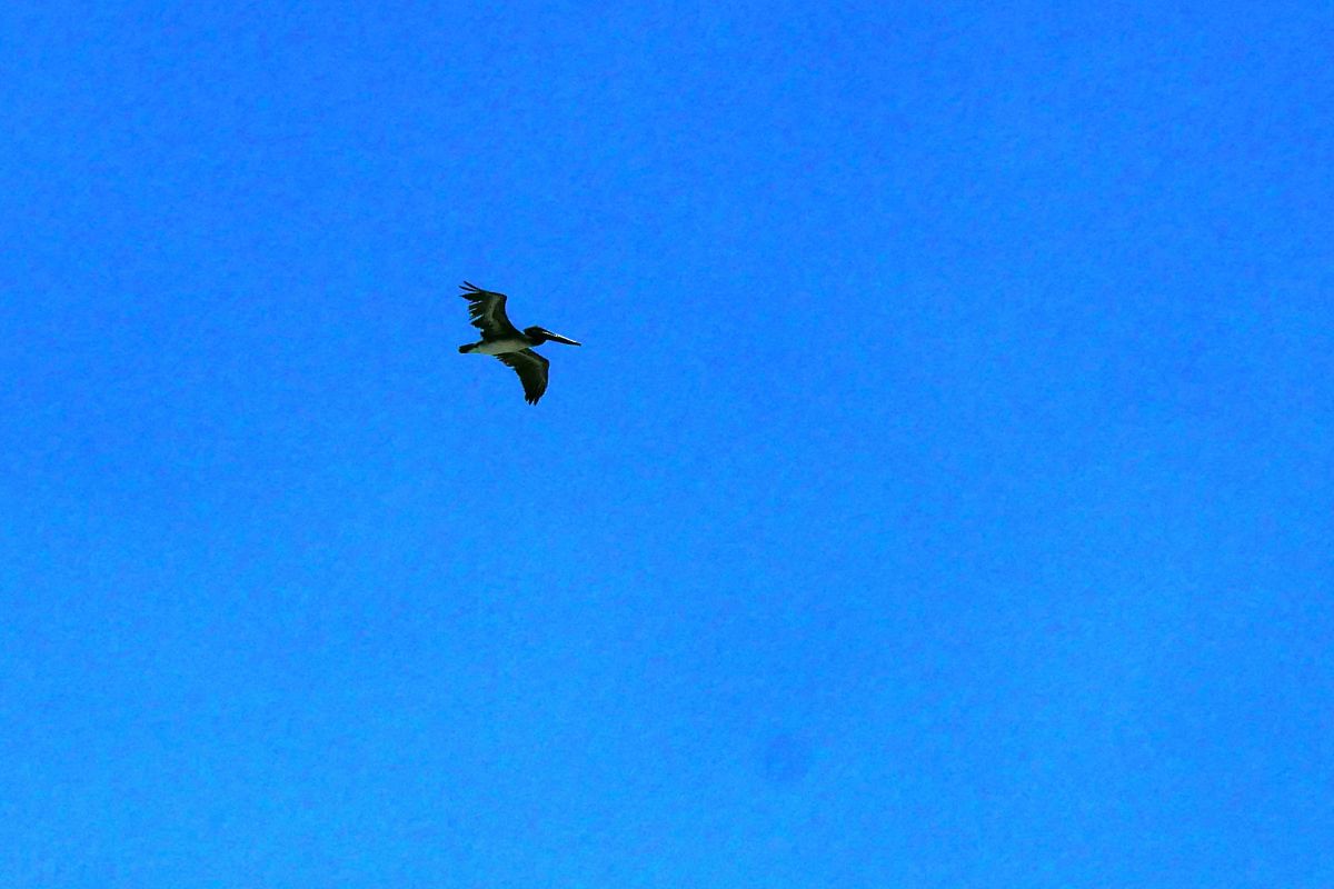 P2160133.JPG